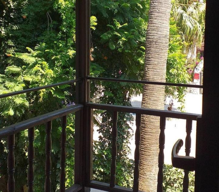 أورتاجا Nehir Dalyan Boutique Otel المظهر الخارجي الصورة