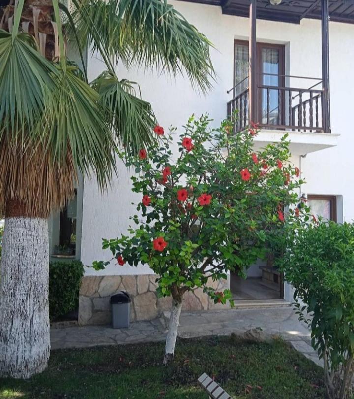 أورتاجا Nehir Dalyan Boutique Otel المظهر الخارجي الصورة